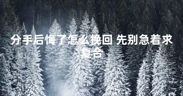 分手后悔了怎么挽回 先别急着求复合